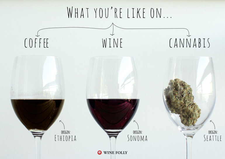 [Imagen: coffee-vs-wine-vs-cannabis3-770x545.jpg]