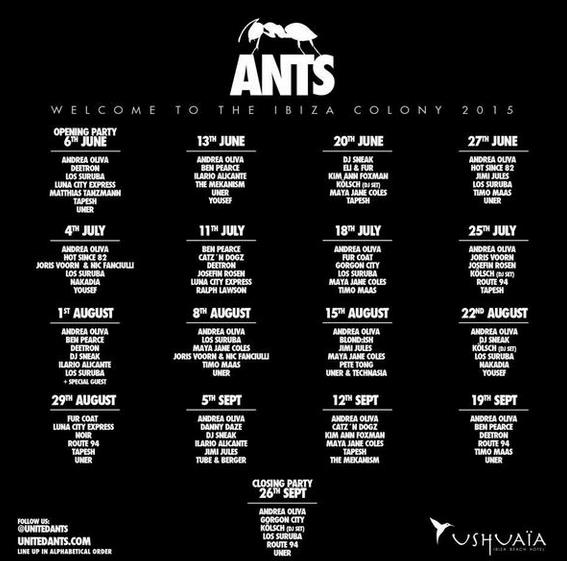 Ants (2)